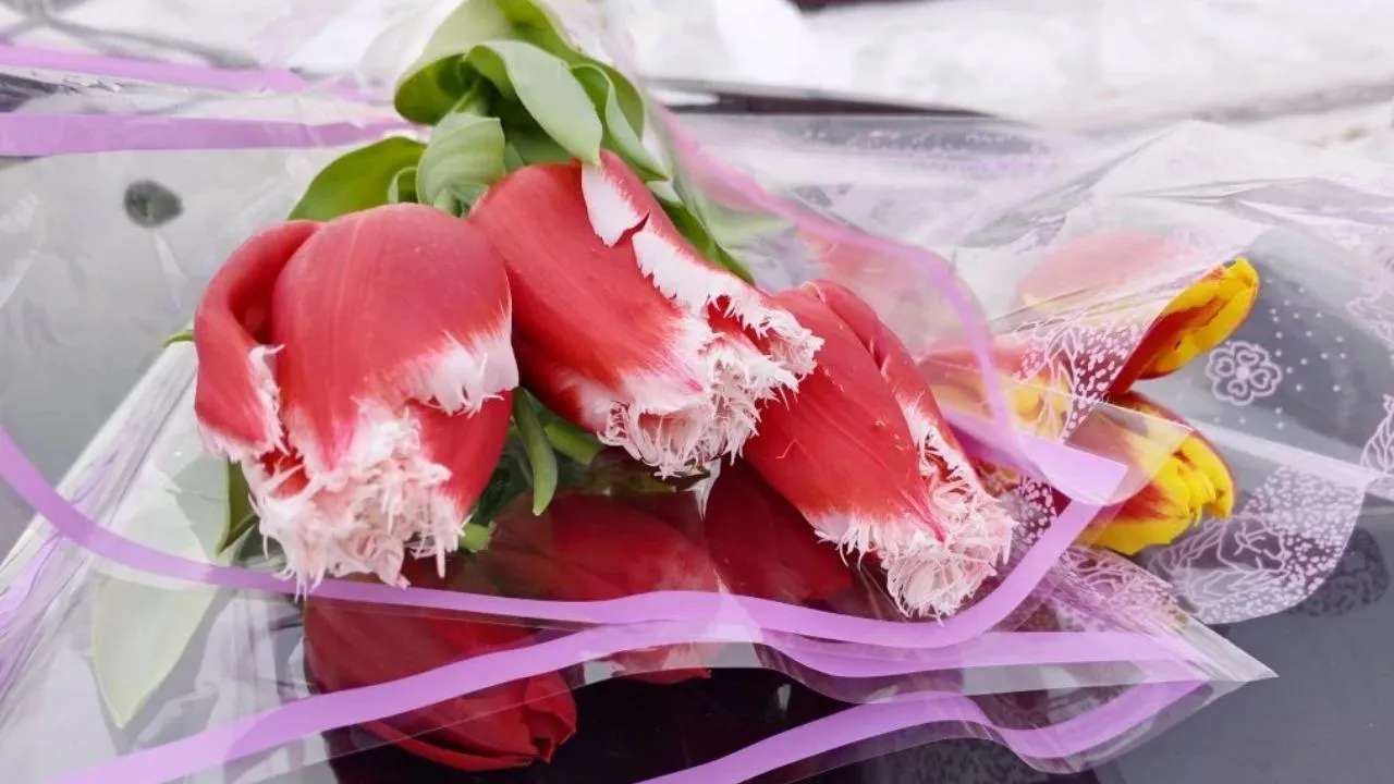 REGIONS/Василий Тремасов