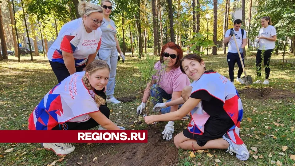 Фото: Анна Мороз