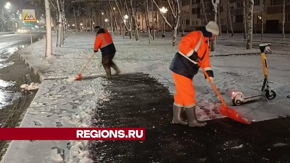 Фото: Ольга Шеметова