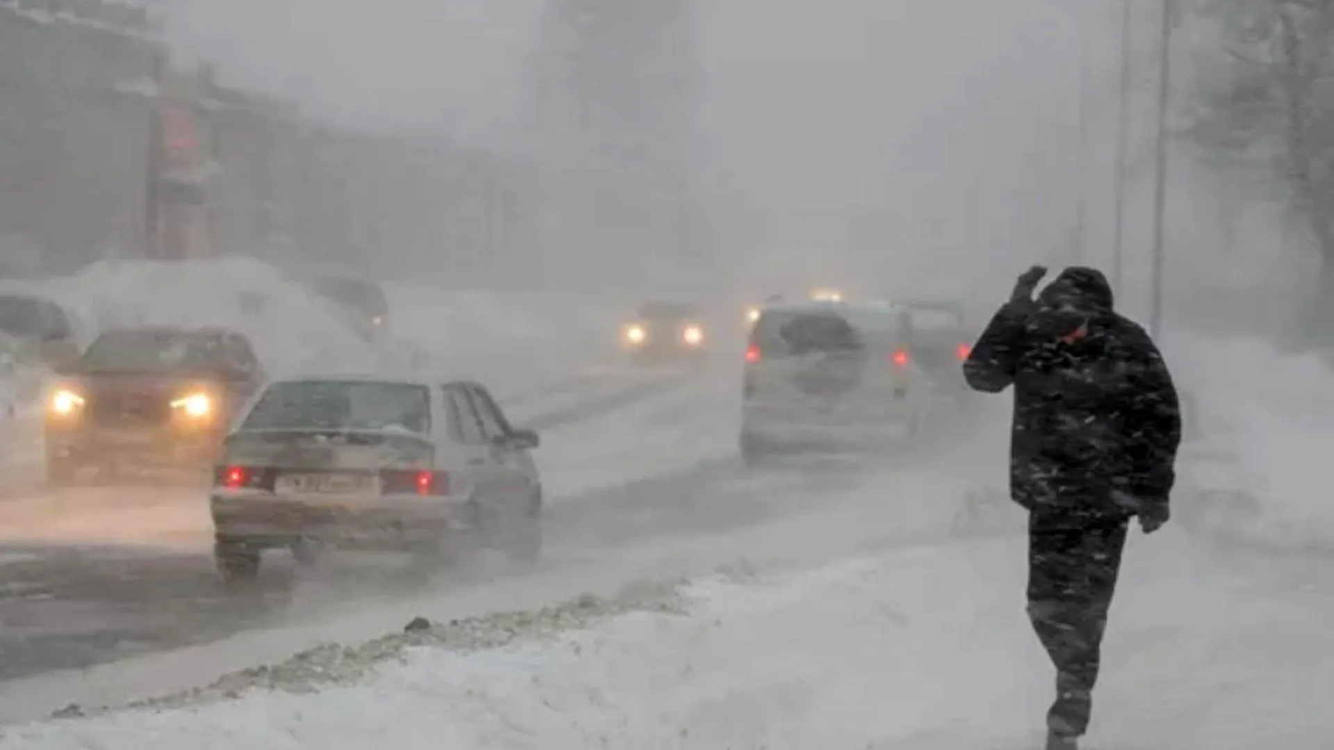 Фото:  Игорь Подгорный