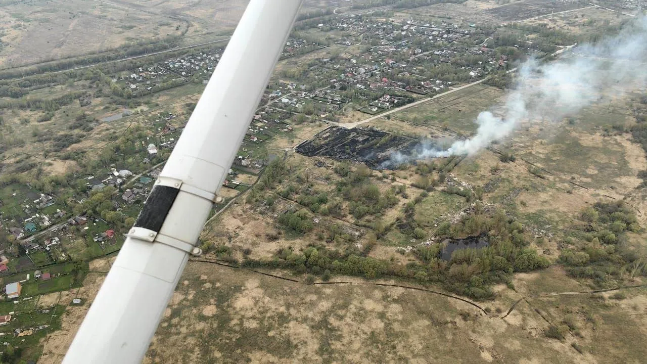 Фото: Комитет лесного хозяйства Московской области