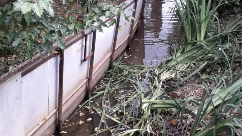 Фото: Минэкологии МО