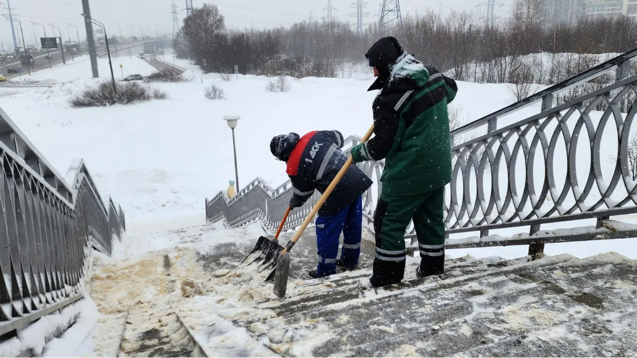 МедиаБанк Подмосковья/Максим Сафронов