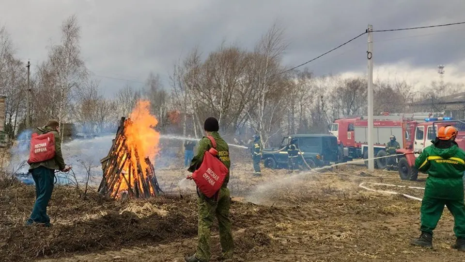 Фото: пресс-служба администрации г.о. Волоколамск