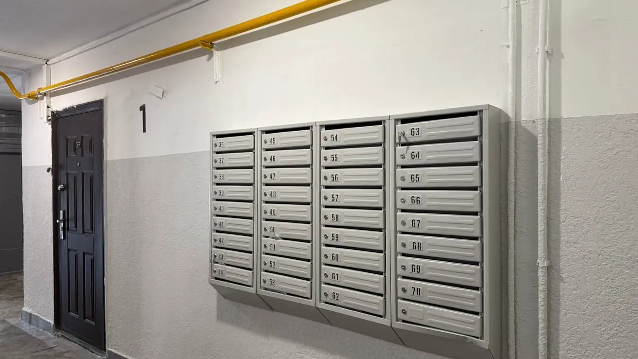 Фото: пресс-служба администрации Наро-Фоминского г.о.