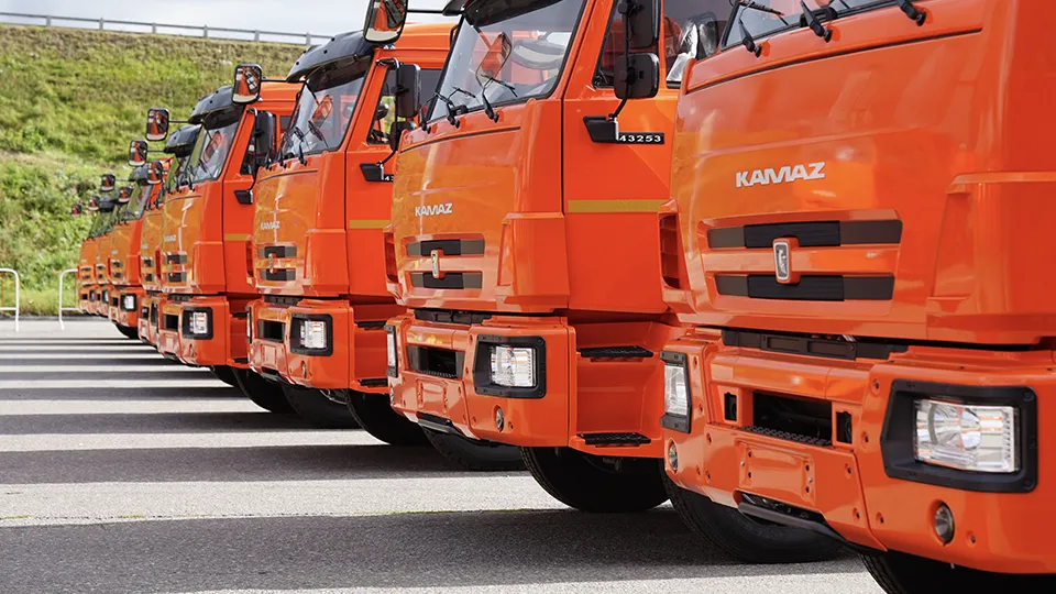 Фото: пресс-служба губернатора и правительства Московской области/Сергей Хакимов