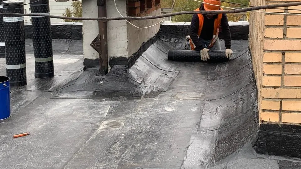 Фото: Медиабанк Подмосковья/Екатерина Елисеева