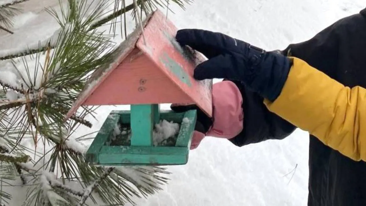 t.me/AnnaKrotova_Lobnya