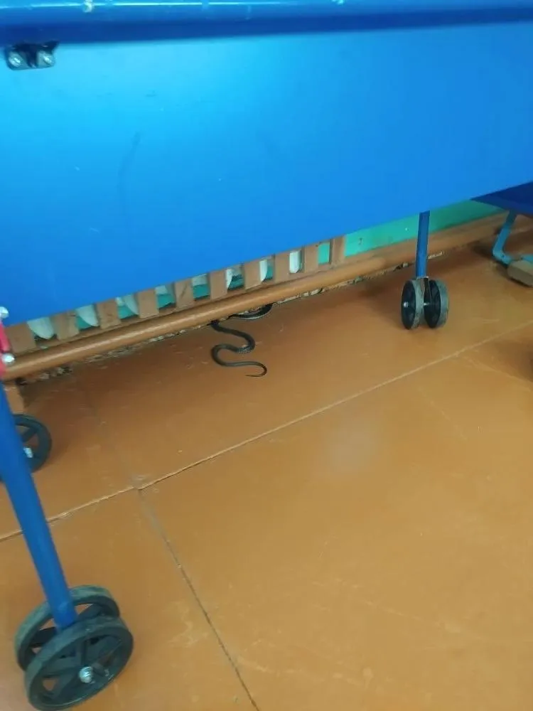 ОГБУ «Пожарно-спасательная служба Костромской области»