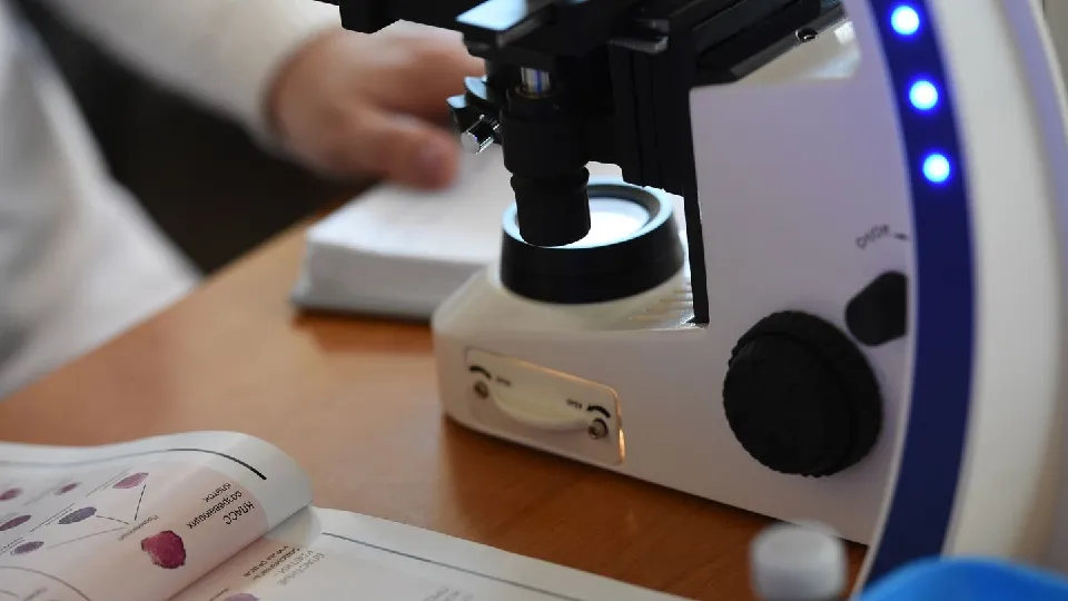 Фото: медиасток.рф