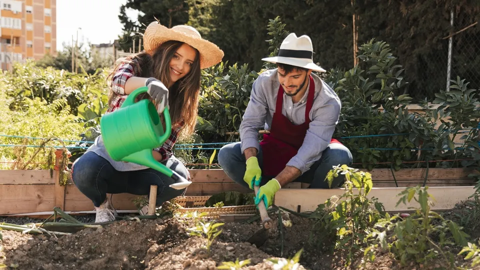 Фото: freepik.com