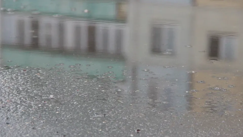 Фото: REGIONS/Василий Тремасов