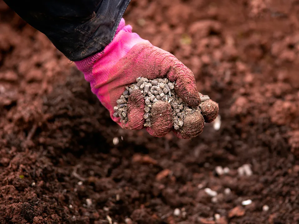 Фото: istockphoto.com