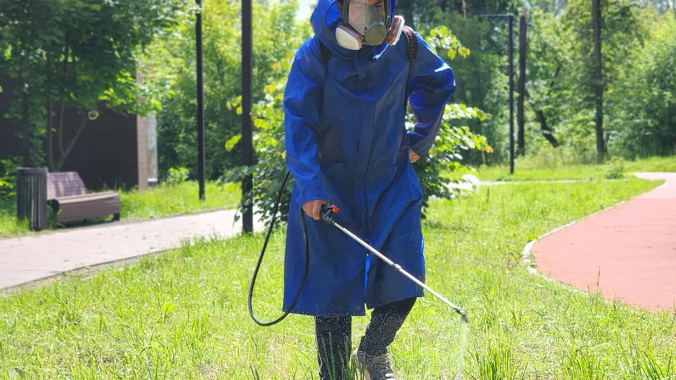 Фото: МедиаБанк Подмосковья/Валерия Тингаева