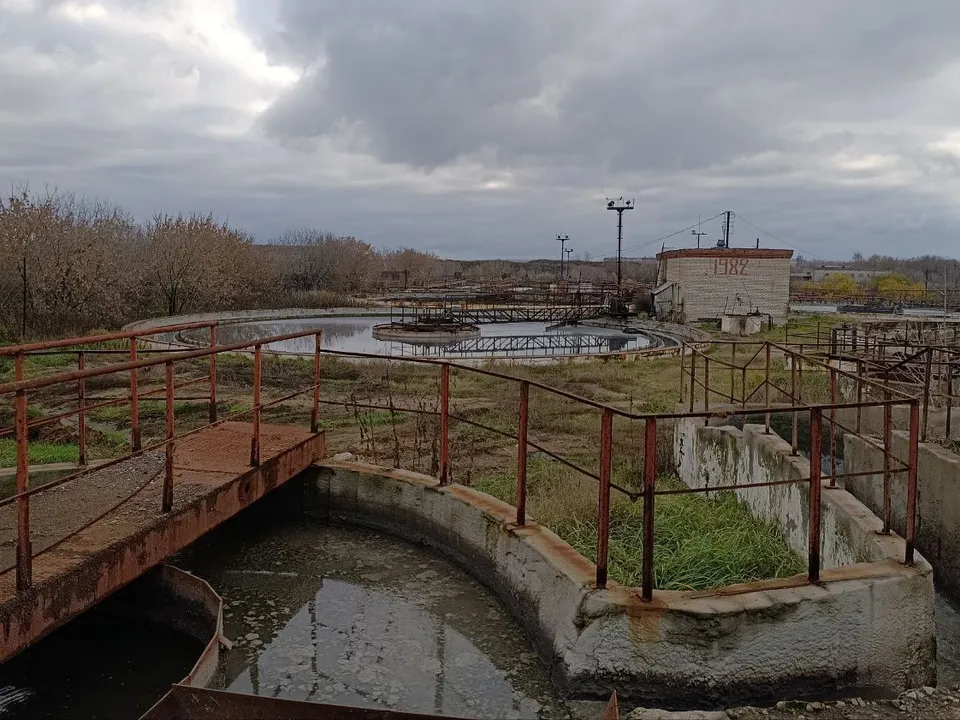 Фото: пресс-служба Общественной палаты г.о. Жуковский