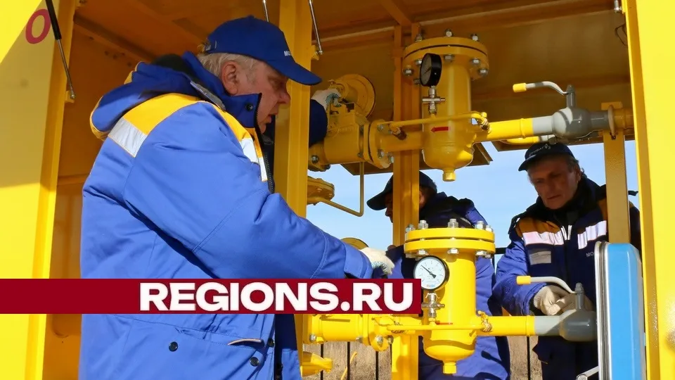 Фото: Александр Дрожжин