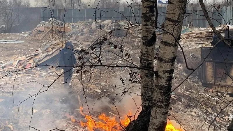 Собственников земель в Видном накажут за незаконное размещение отходов и загрязнение реки