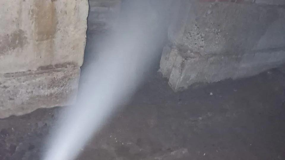 Фото: t.me/posad_dom