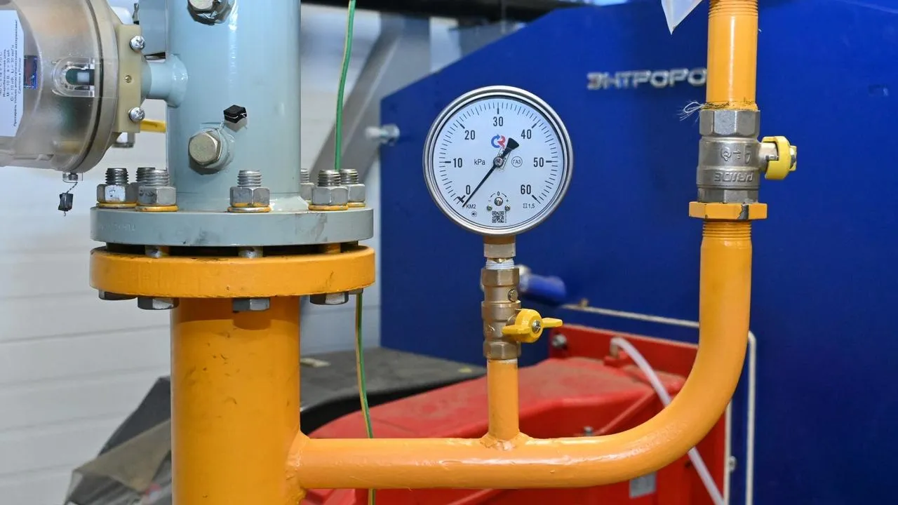 REGIONS/Александр Дрожжин