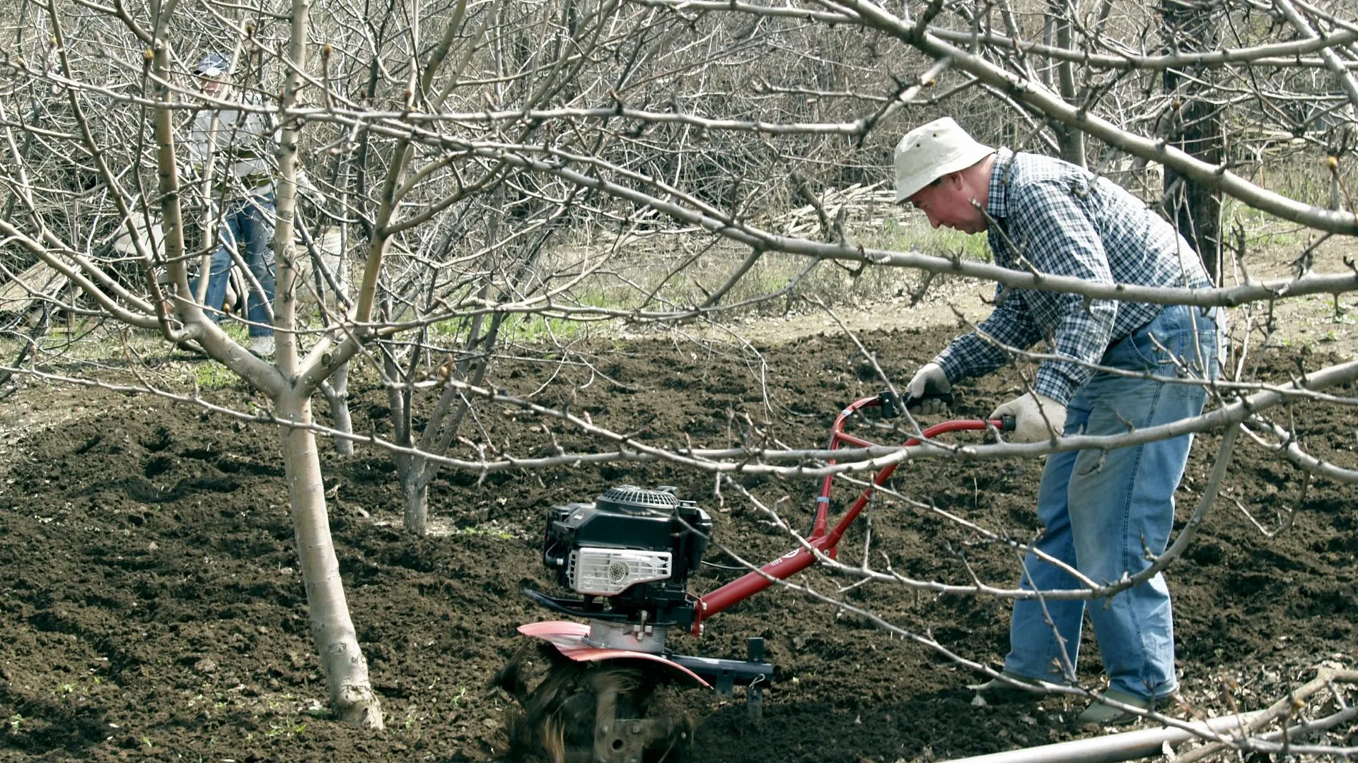 REGIONS/Александр Легкий