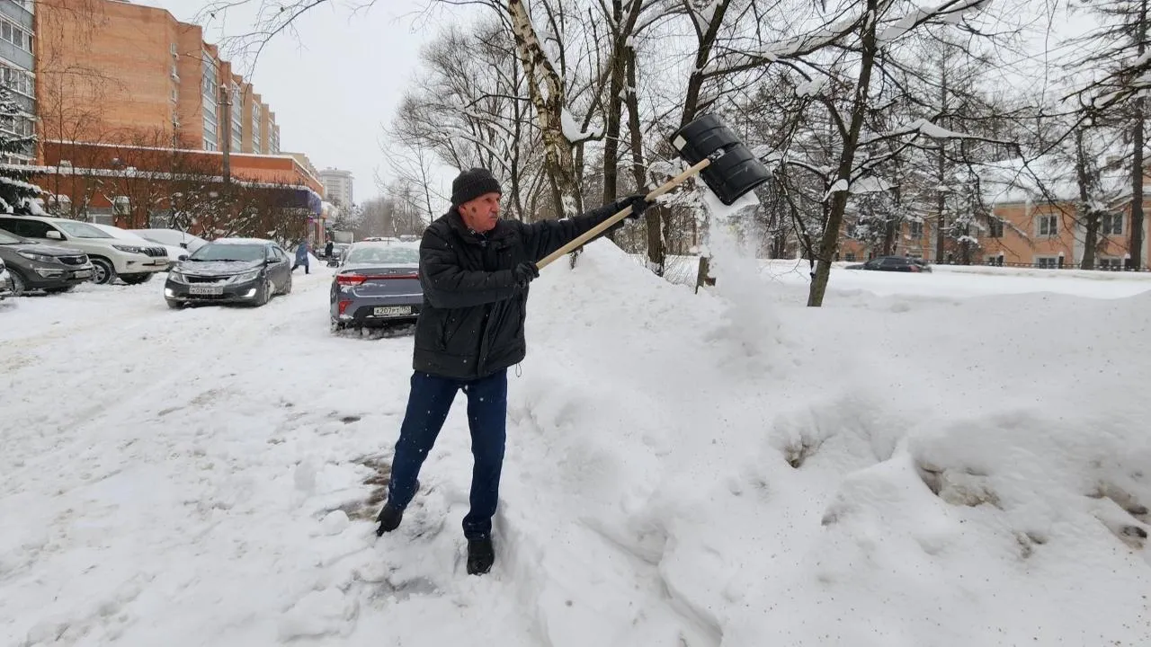 Дмитрий Алексеенко