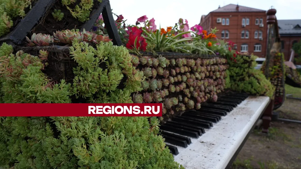 Фото: REGIONS/Дмитрий Зайчиков