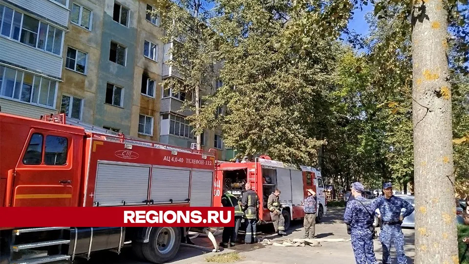 Фото: Наталья Дорофеева