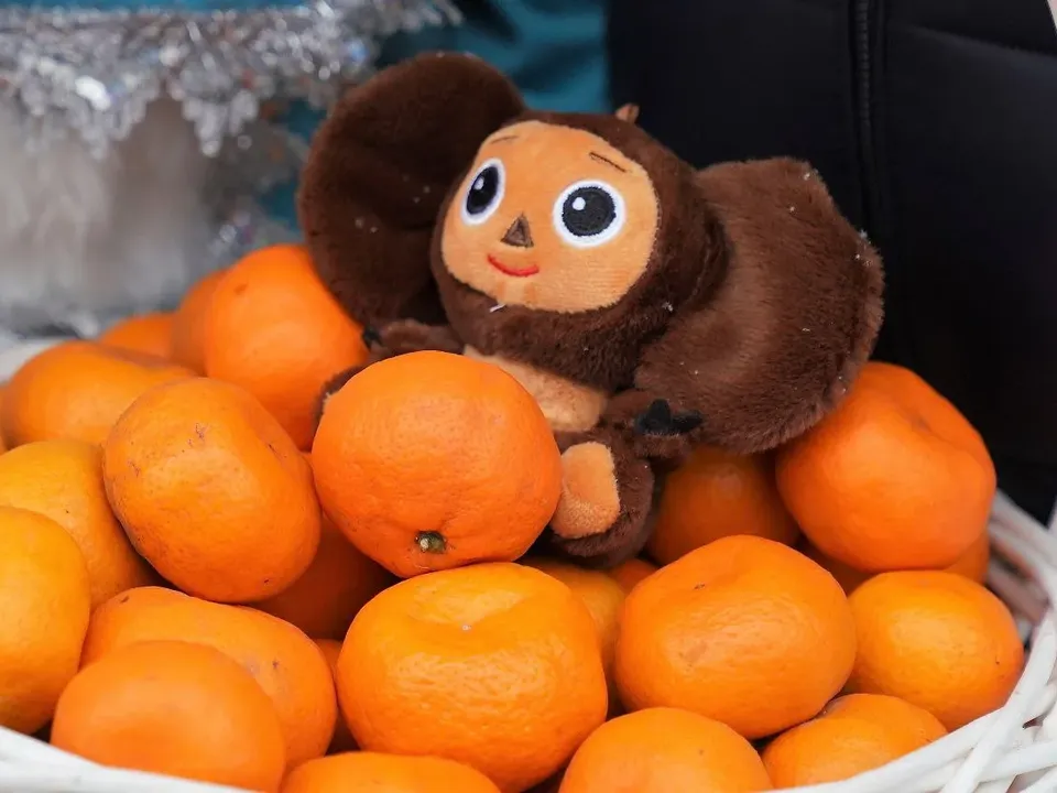 Фото: администрация г.о. Реутов