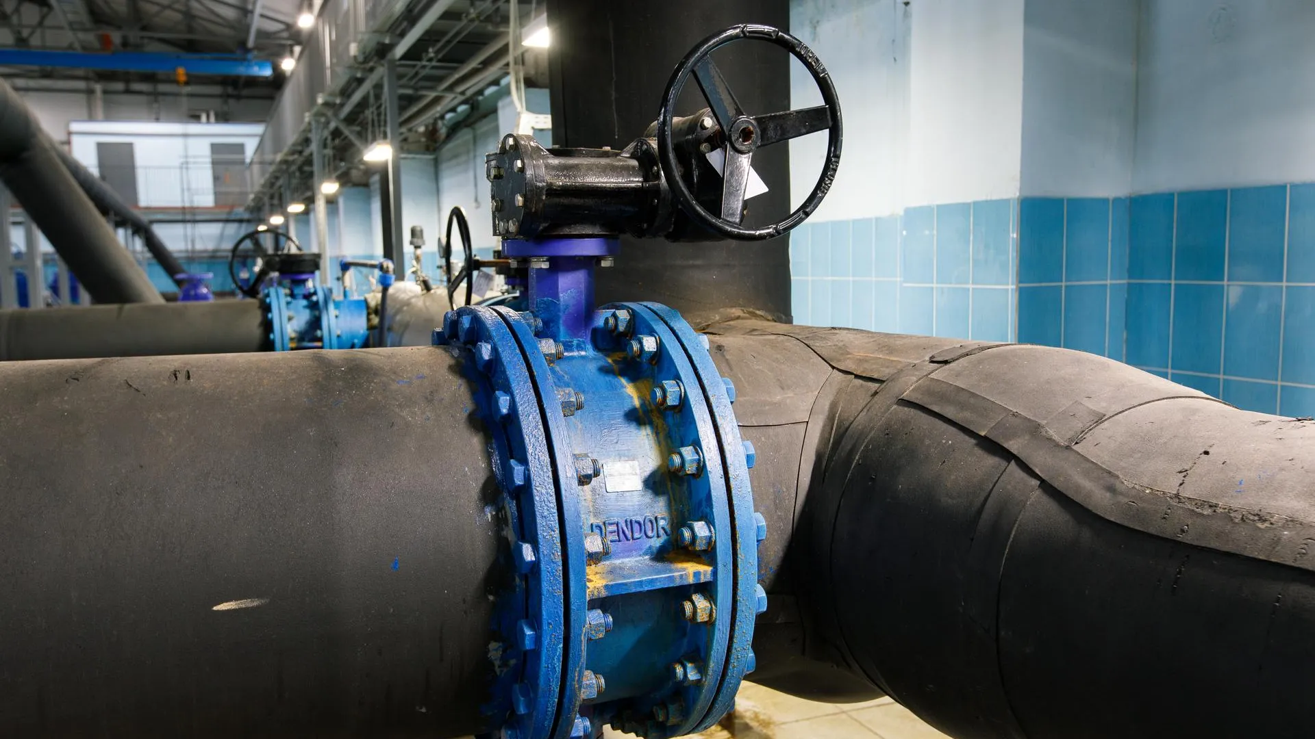 Фото: медиасток.рф