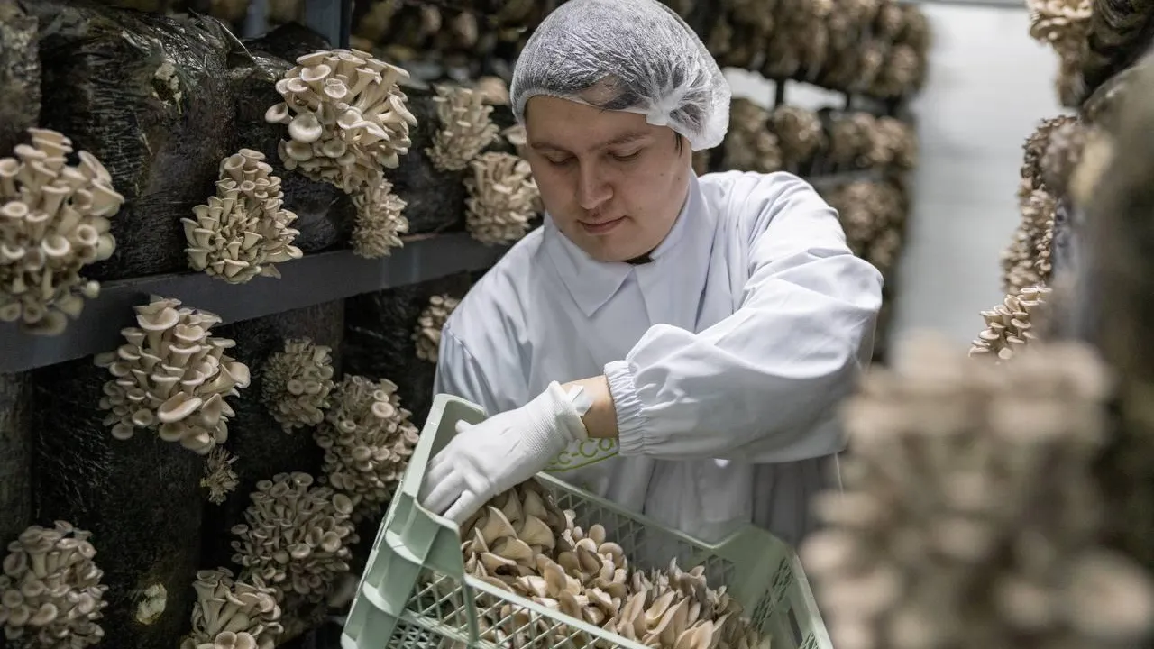 Фото: пресс-служба администрации Орехово-Зуевского округа