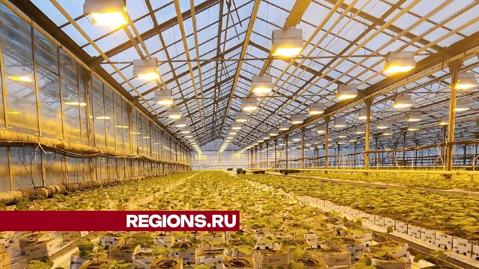 Фото: Никита Сморкалов