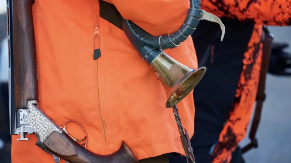 Фото: istockphoto.com/Duvekot fotografie