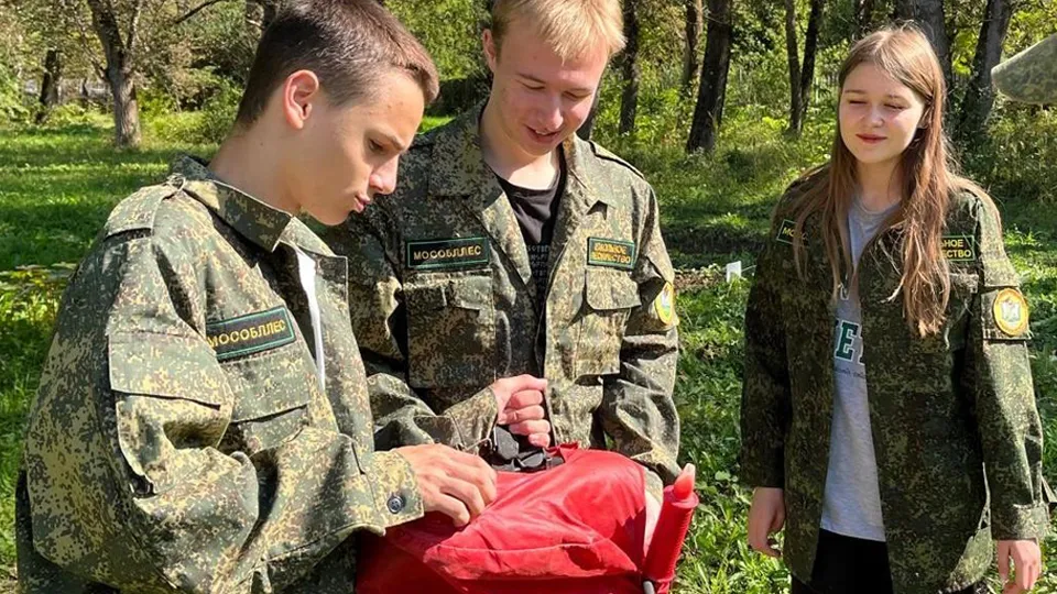 Фото: Комитет лесного хозяйства Московской области