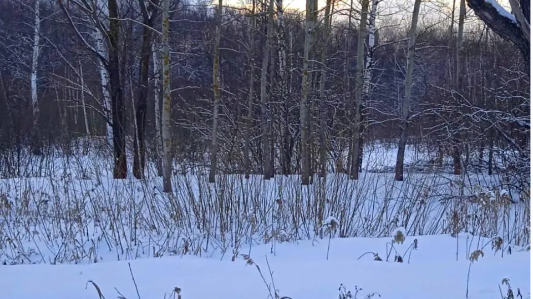 Фото: Мособлархитектура