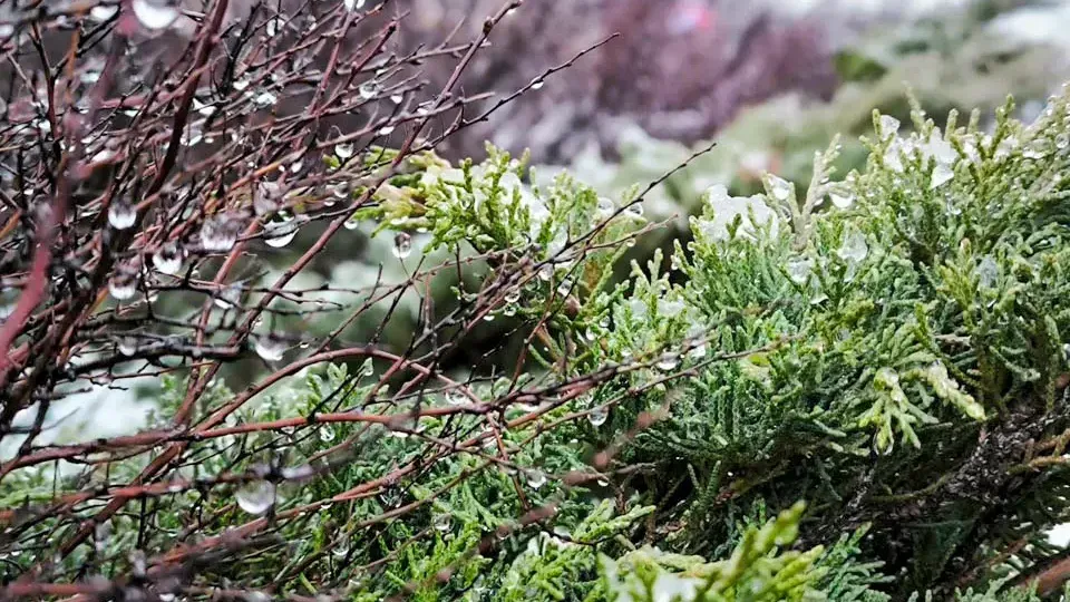 REGIONS/Роман Малышенко