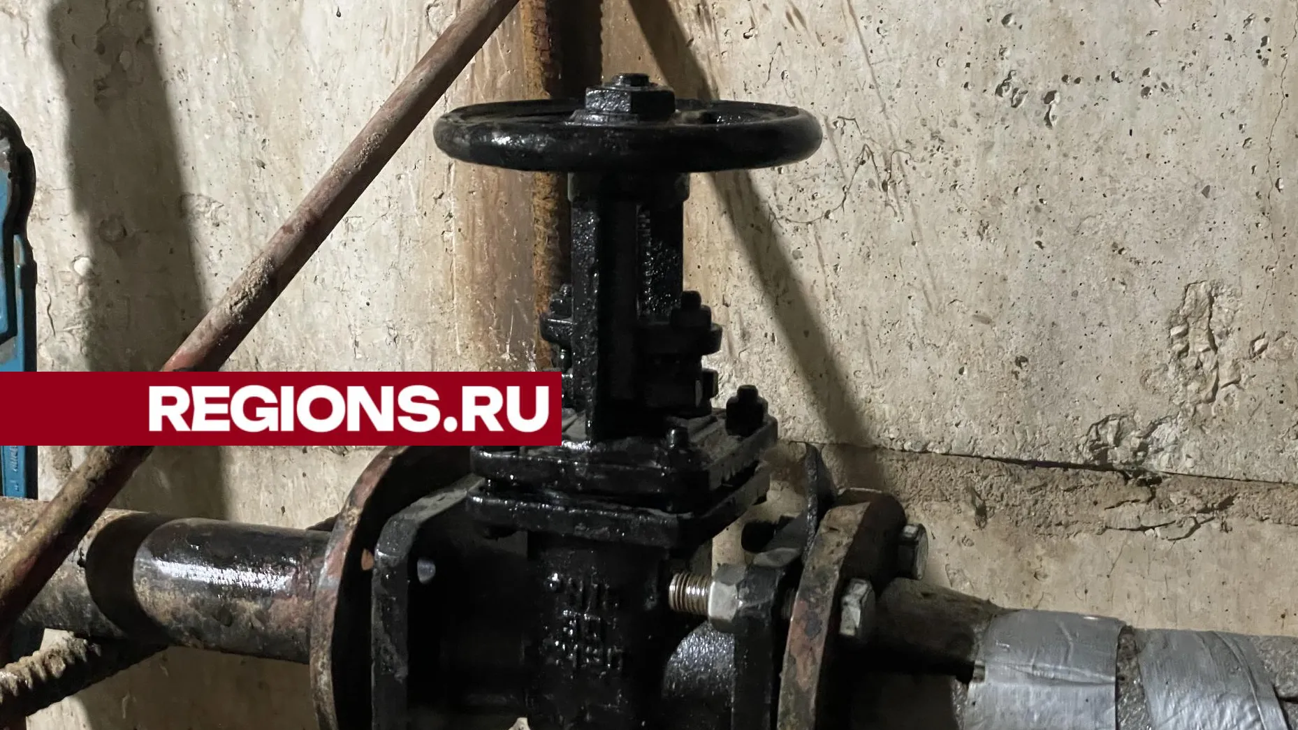 Фото: Дмитрий Зайчиков