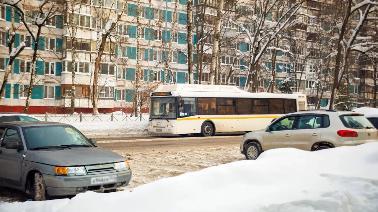 REGIONS/Сергей Шешин