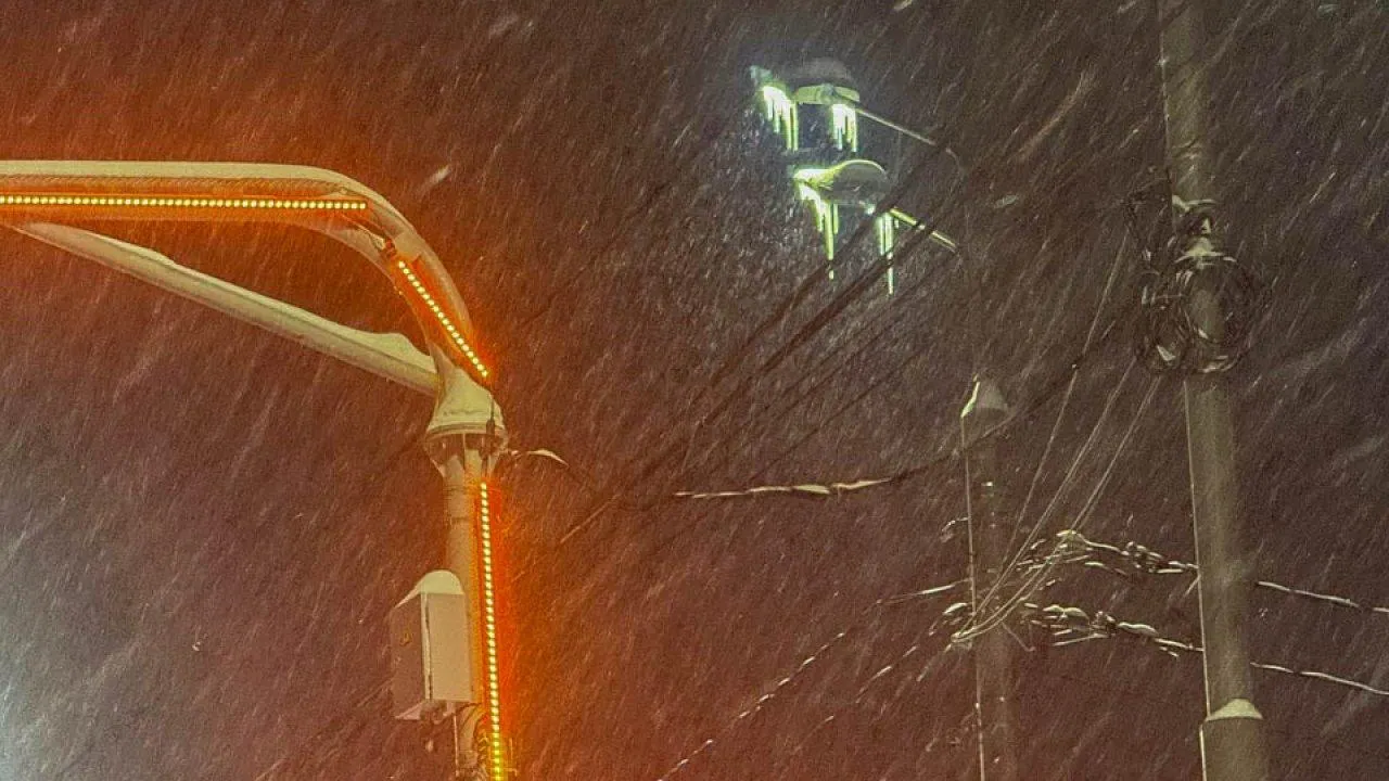 REGIONS/Анастасия Малышенко