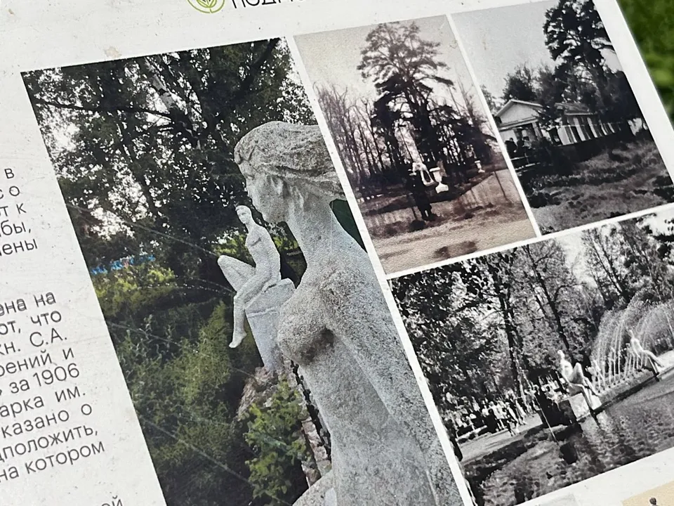 Фото: Анна Тюрюмина