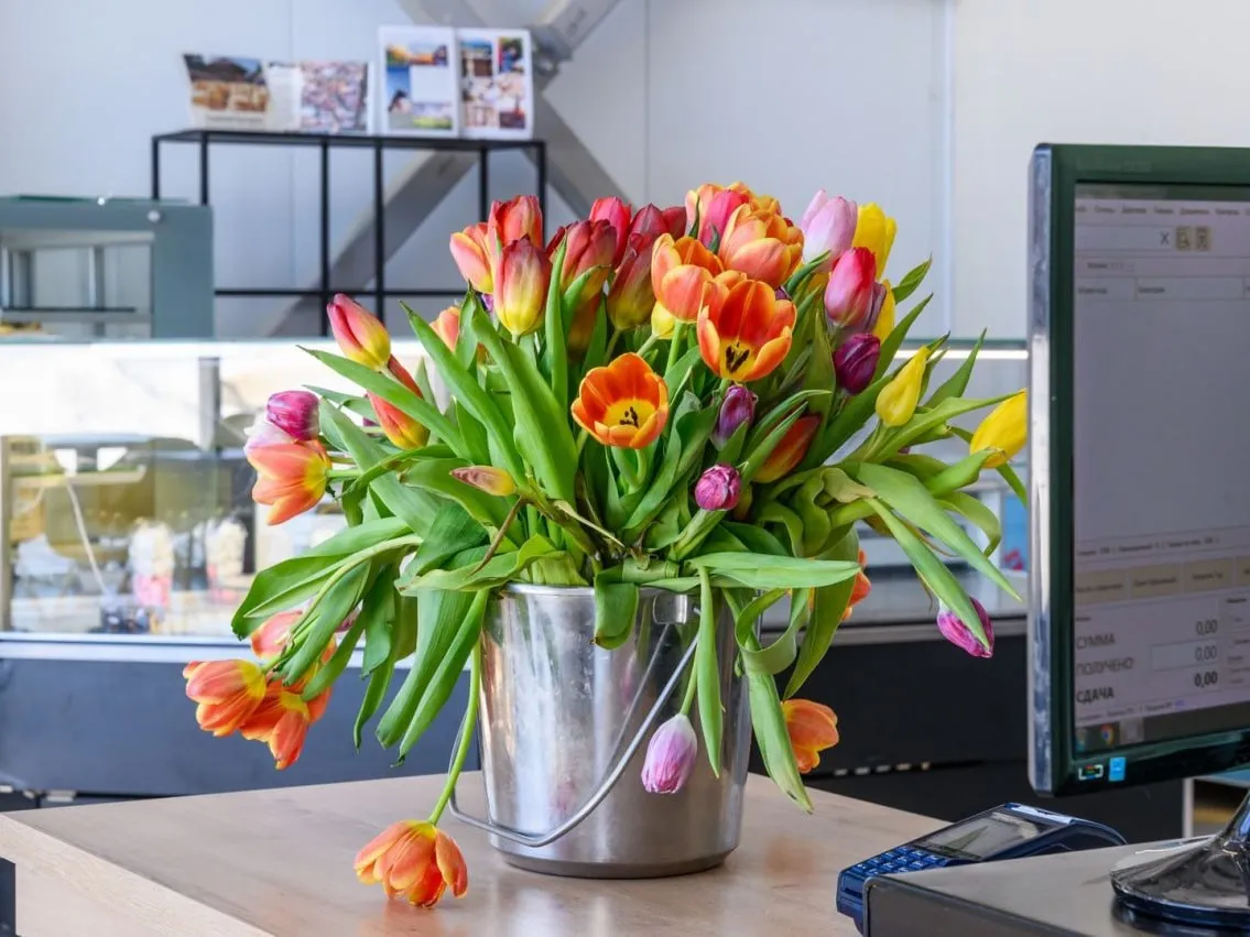 Фото: медиасток.рф