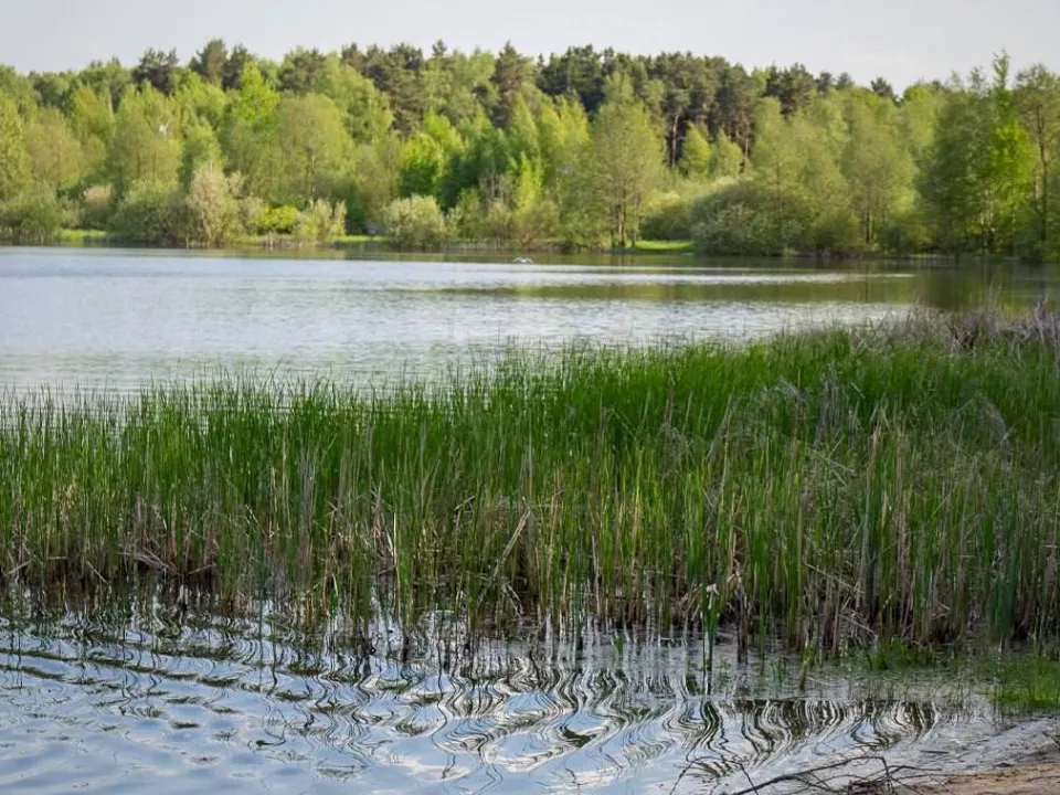 Фото: пресс-служба администрации г.о. Электросталь