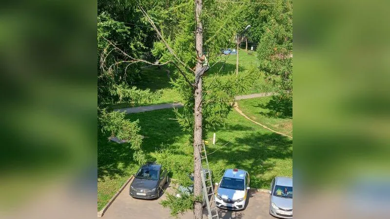 2241  in  Клин Zдесь / ВКонтакте