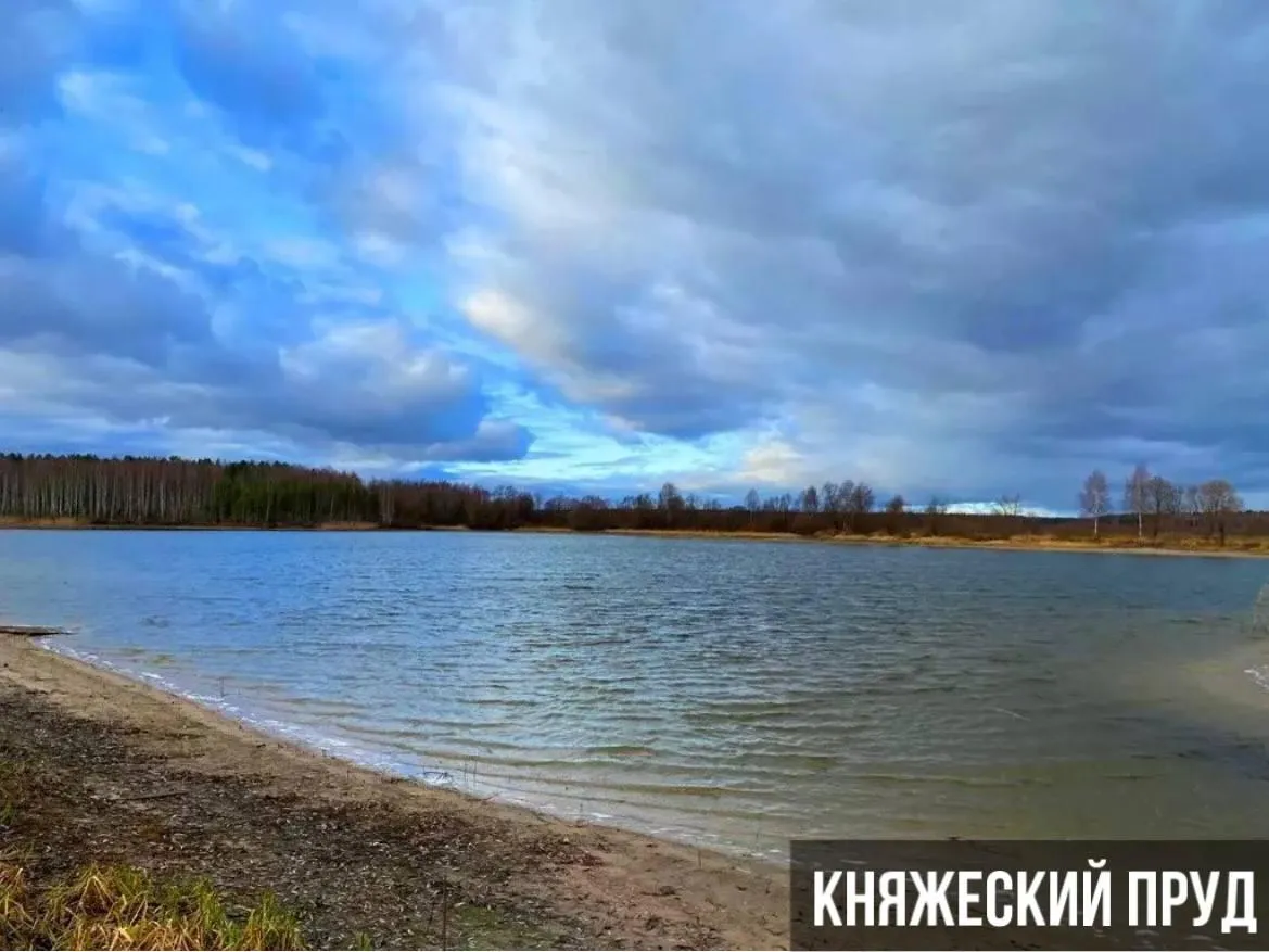 Источник фото: https://afy.ru/egorevskiy-rayon-knyazhevo/pereulok-ryabinovyy/snyat-dachu