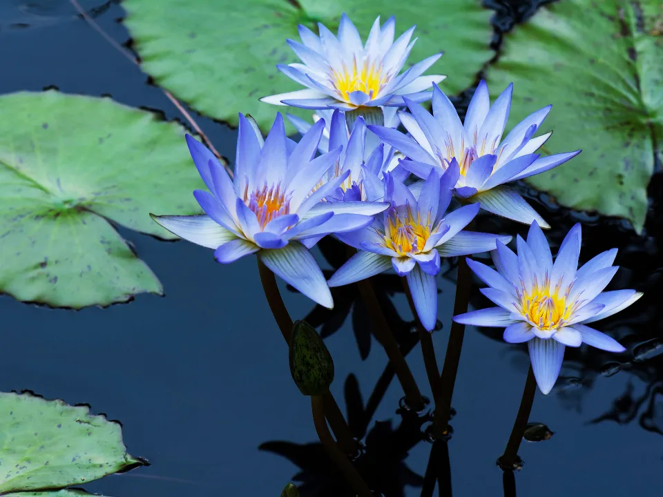 Фото: istockphoto.com