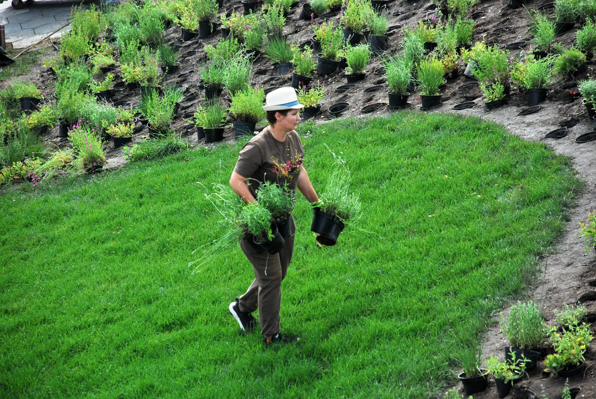 REGIONS/Александр Легкий