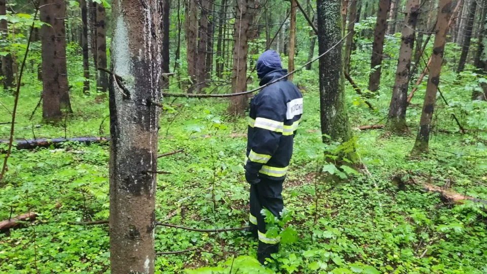 Фото: ГКУ МО «Мособлпожспас»