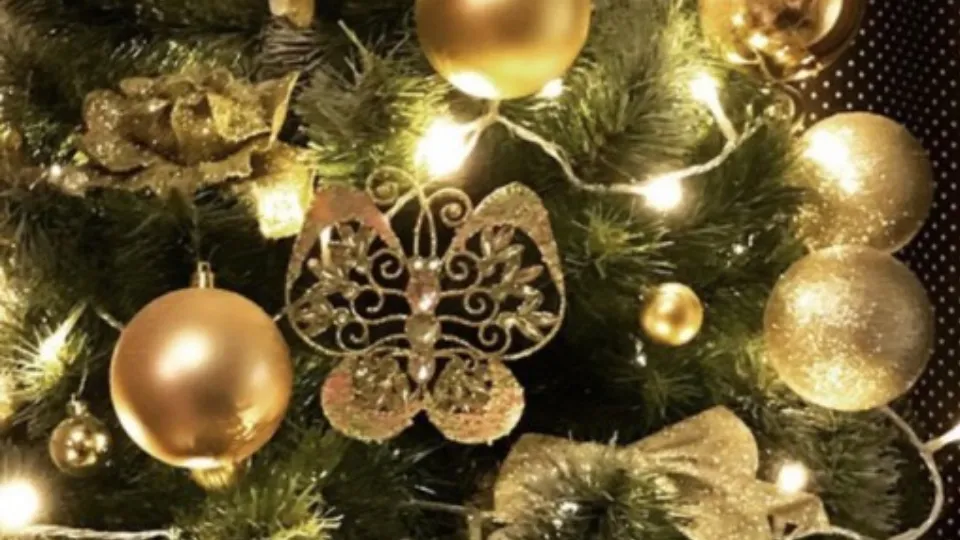 Фото: REGIONS/Людмила Матвиенко