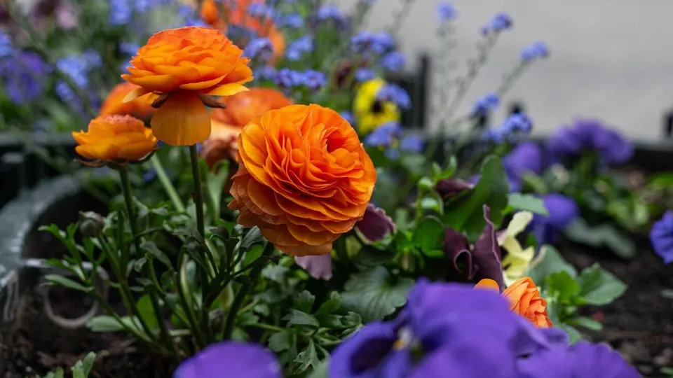 Фото: freepik.com