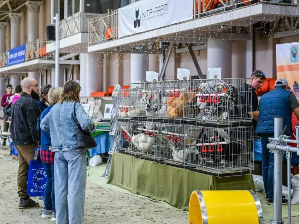 Фото: Администрация Ленинского г.о.