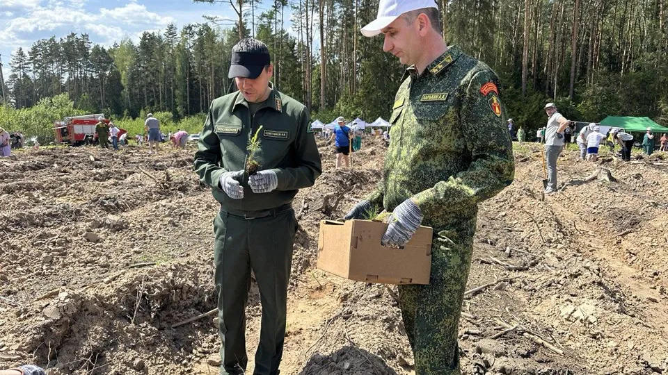Комитет лесного хозяйства Московской области